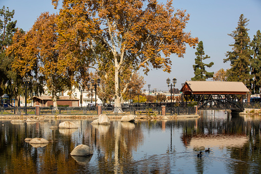 Afternoon autumn view of a public park in downtown Bakersfield, California, USA.