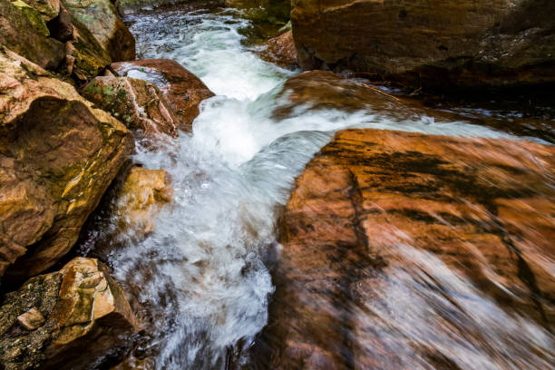 istock Virgin forest park, rocks, creeks, waterfalls 1331036956
