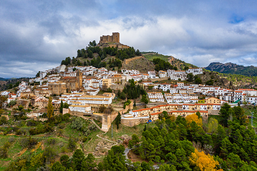 View of Alhambra with Flowers - Granada, Andalusia, Spain