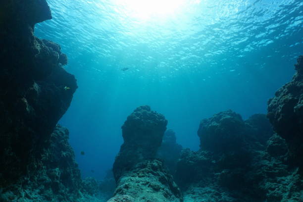 istock Underwater seascape rocky reef ocean floor 1331042624