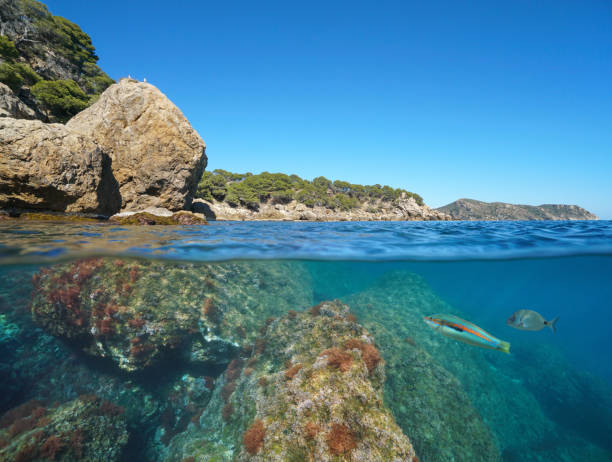 istock Wild rocky coast Spain Costa Brava Mediterranean 1331044009