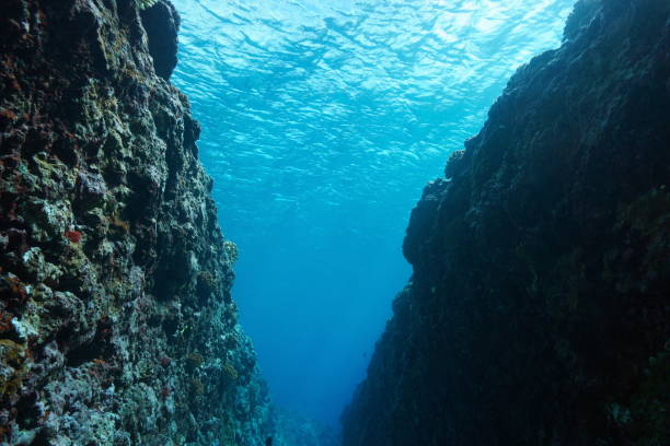 istock Water surface underwater crevice on ocean floor 1331044229