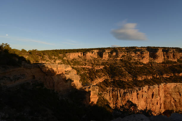 istock Grand Canyon Bright Angel Trail 1331044544