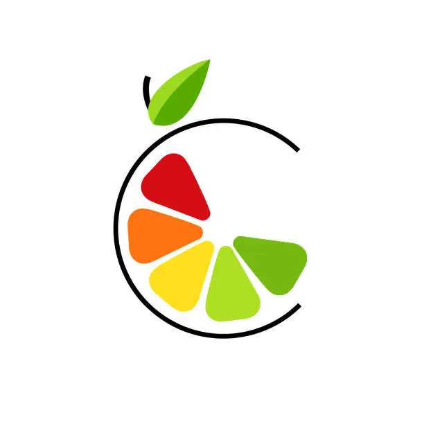 Vector illustration of Abstract color slice citrus fruits with circle line. Logo concept