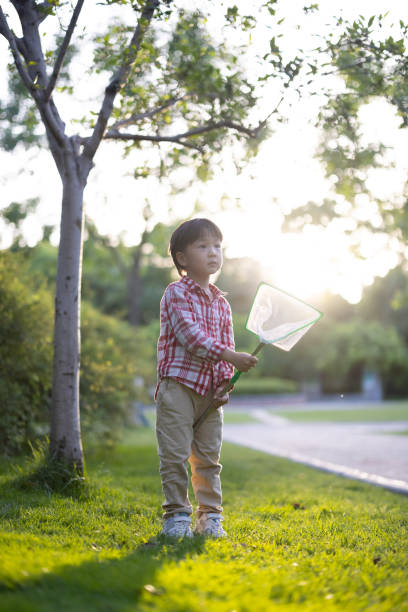 istock Asian boys playing in the park 1331048480