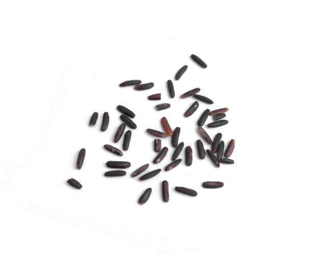 istock Paddy rice with black riceberry rice isolated on white background. Organic. Raw, wheat or grain. Agriculture. Food. 1331051003