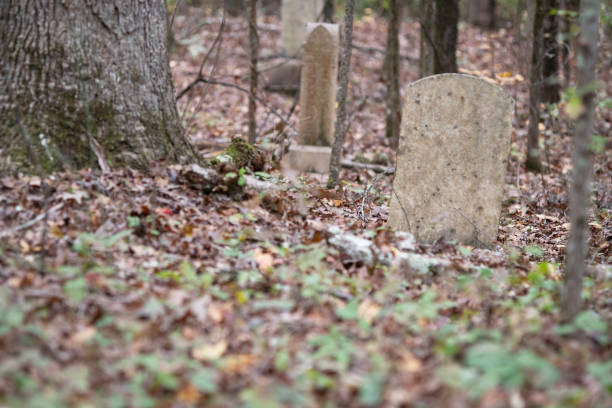 istock Old forgotten cemetery in woods 1331054504