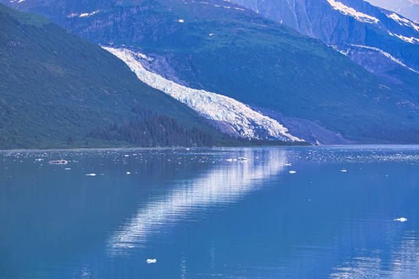 The glacier flows into the lake, which has bits of ice on the surface. Enjoy the view of the ice shelf from the cruise ship. Alaska, USA. July 2019.