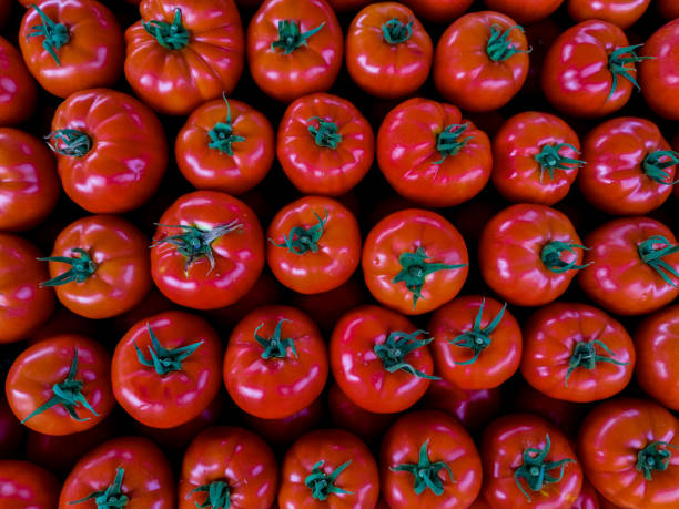 istock Fresh tomatoes on the market 1331057948