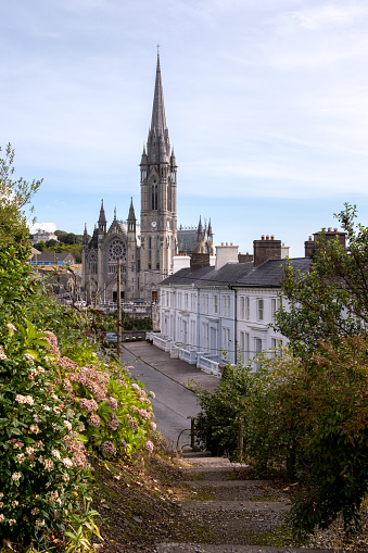 View from park on houses and St. Colman's Cathedral in Cobh, Ireland