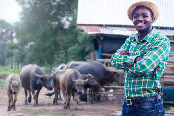 African Farmer with hat stand in the water buffalo farm.Agriculture or cultivation concept stock photo