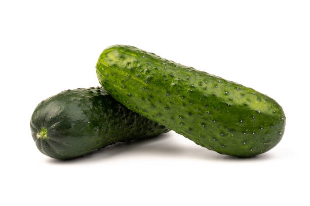 istock cucumber vegetable isolated on white background 1331062918