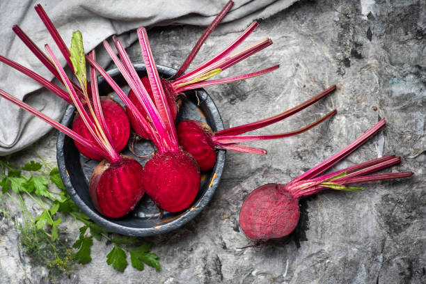 planta sana de remolacha vegetal de remolacha común a la mitad - remolacha común fotografías e imágenes de stock