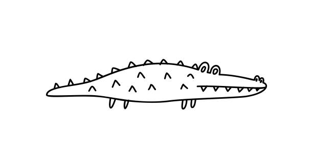 illustrations, cliparts, dessins animés et icônes de crocodile de dessin animé stylisé ou alligator. crocodile bizarre surpris, animal d’illustration enfantin. caractère minimaliste. illustration vectorielle dessinée à la main, sur un fond blanc isolé - alligator white background crocodile reptile