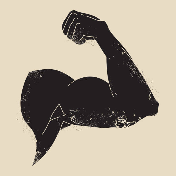 Muscular arm, clenched fist. Symbol of strength Silhouette grunge design. Vector illustration ESP 10 muscular build illustrations stock illustrations