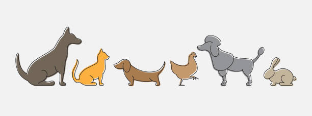 Domestic animals, dog, cat, dachshund, poodle, chicken, Alsatian, rabbit. Modern simple icon, silhouette, colorful design Vector illustration isolated on white background dog poodle pets cartoon stock illustrations