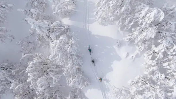 DRONE, TOP DOWN: Ski tourers hike along an empty trail leading up a snowy mountain. Flying above a small group of active tourists walking along a hiking trail during a splitboarding trip to Bohinj.
