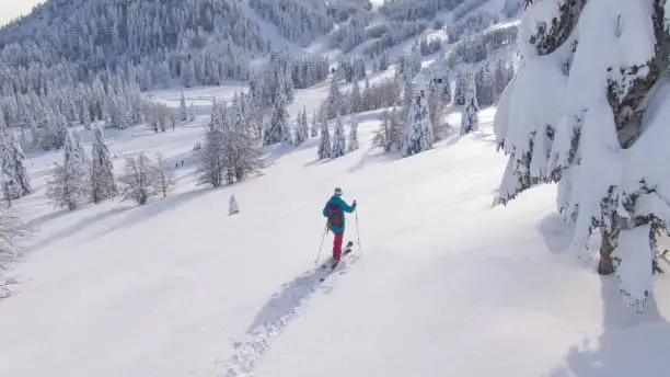 DRONE: Flying around an active young woman on splitboarding trip in the Julian Alps crossing the picturesque snowy meadow. Fit female tourist explores the ungroomed hills during a ski touring trip.