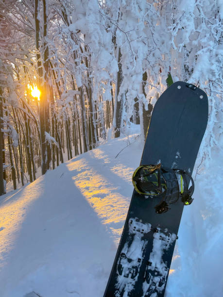 istock VERTICAL: Sunset illuminates the forest and a snowboard stuck in fresh snow. 1331064146