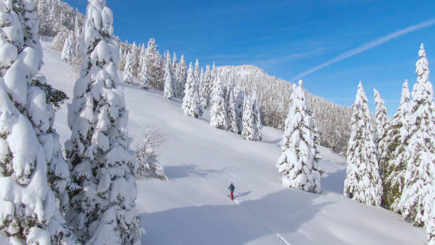 istock AERIAL: Spectacular nature surrounds ski tourer making her way up a mountain. 1331064887
