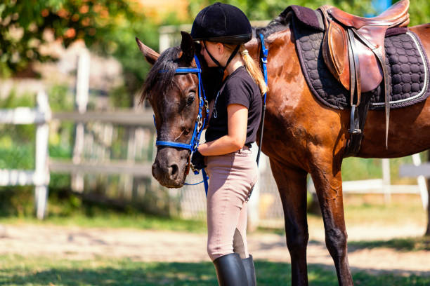 Beautiful girl in riding gear with horse stock photo