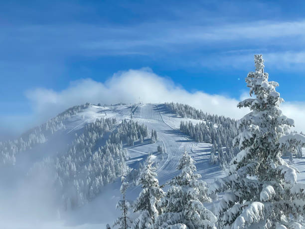 DRONE: Scenic view of the groomed slopes of a ski resort soaring into sunny sky. DRONE: Scenic view of the groomed slopes of a ski resort soaring into the sunny sky. Krvavec winter resort slopes remain empty as popular tourist destination needs to remain shut down due to covid-19. krvavec stock pictures, royalty-free photos & images