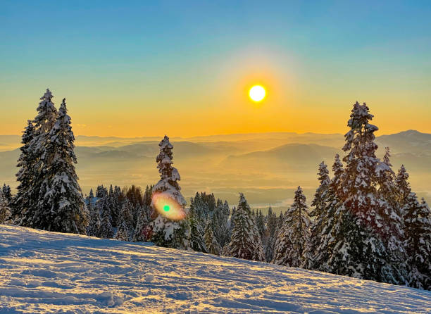 istock LENS FLARE: Golden morning sunbeams illuminate the wintry forest landscape. 1331070614