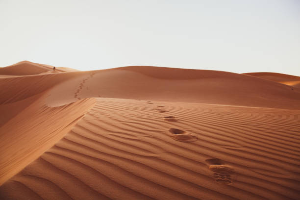 istock Footprints on desert sand in Abu Dhabi 1331071254