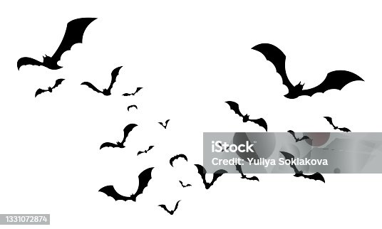 istock Flock bats isolated. Silhouettes of flying bats on white. 1331072874