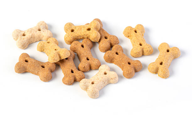 istock Dog treats, isolated 1331075659