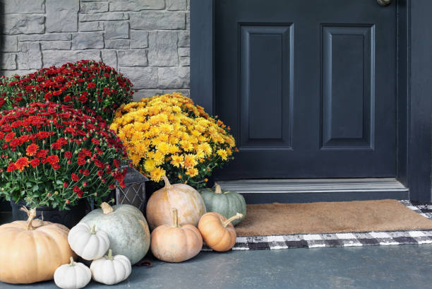 玄関のそばに座っているカラフルなお母さんと家宝の白、オレンジ、グレーのカボチャ - autumn flower holiday plant ストックフォトと画像