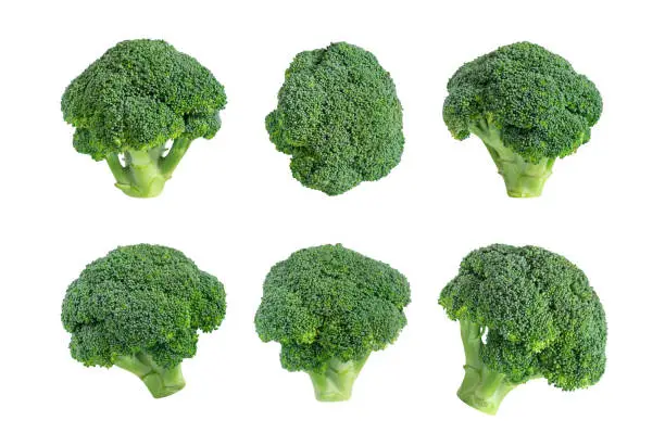 Broccoli set isolated on a white background. Fresh broccoli collection. Healthy vegetables closeup.