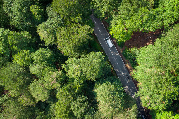 istock Road through the forest - aerial view 1331081533