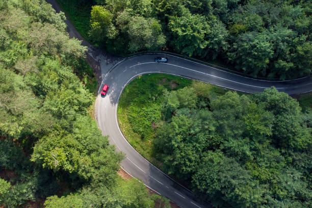 istock Winding road through the forest - aerial view 1331081632