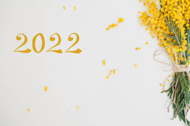 istock Bouquet 2022. Yellow mimosa on a white background 1331081888