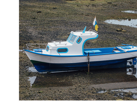 Small blue and white boat stranded at low tide on a beach.