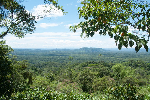 Jungle located in city called Banos de Agua Santa in Ecuador. Concept of tourism.