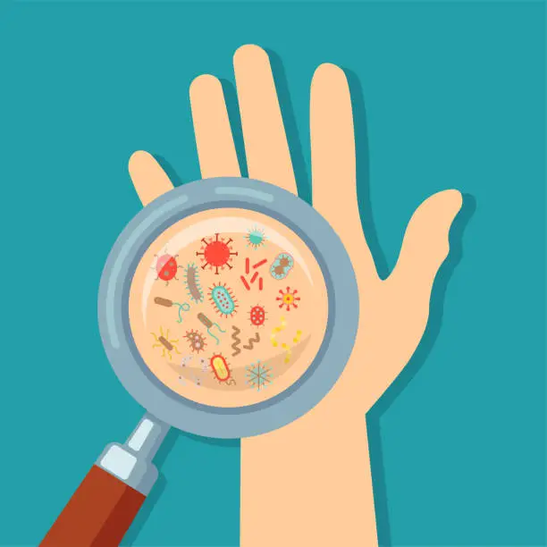 Vector illustration of Vector illustration of looking at germs and bacteria on hands with magnifying glass vector concept. Bacteria under magnifying glass, hand washing and hygiene campaign poster. vector flat style cartoon illustration