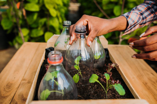 リサイクル可能な材料での植栽 - planting tree human hand women ストックフォトと画像