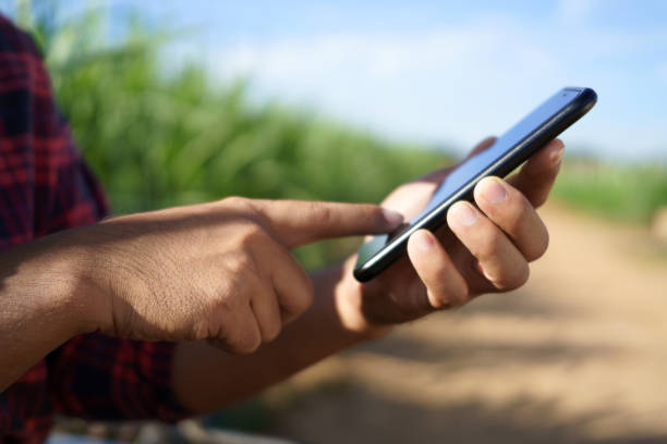 Cerca de 95% dos produtores rurais brasileiros utilizam pelo menos algum tipo de tecnologia digital em suas fazendas. Imagem: Istockphoto Cerca de 95% dos produtores rurais brasileiros utilizam pelo menos algum tipo de tecnologia digital em suas fazendas. Imagem: Istockphoto