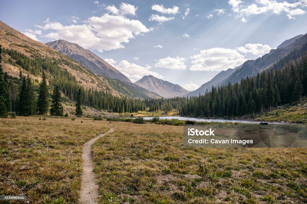 Hiking Trail in the Colorado Wilderness Hiking Trail in the Colorado Wilderness in Aspen, Colorado, United States Colorado Stock Photo