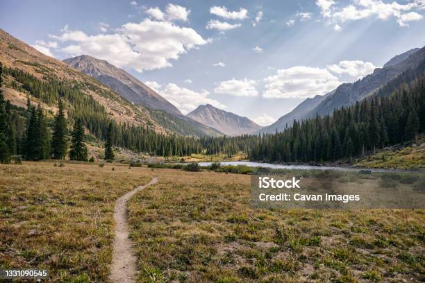 Hiking Trail In The Colorado Wilderness Stock Photo - Download Image Now - Colorado, Footpath, Hiking