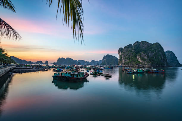 ładny most zachód słońca w ha long miasta północnego wietnamu - vietnam halong bay bay photography zdjęcia i obrazy z banku zdjęć