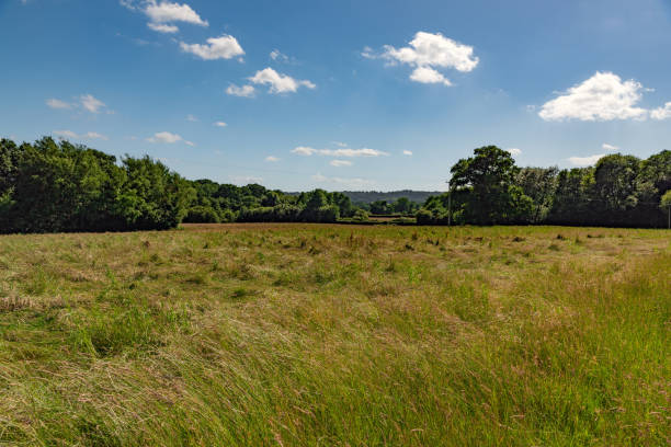 istock View over a field in England, UK 1331092333