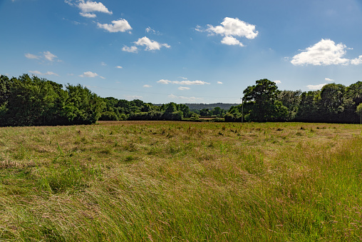 This landscape background image of a meadow or field was taken in Derbyshire in England on a sunny day with blue sky. There is copy space available.