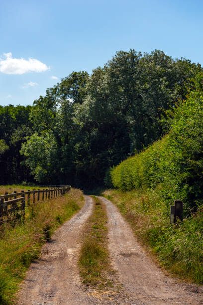 istock Vertical image of an English footpath 1331092339
