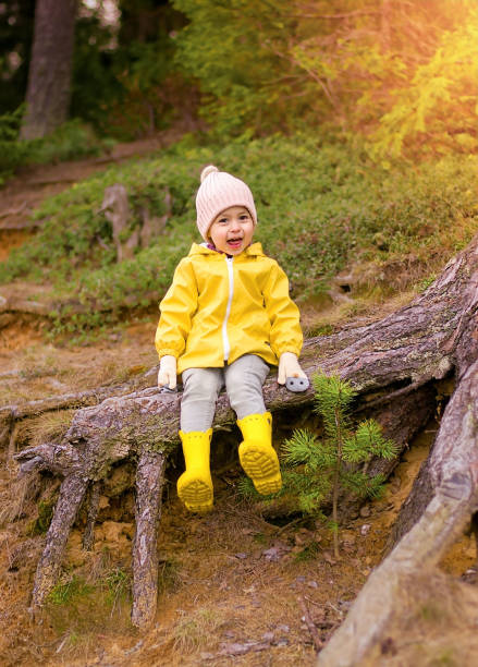 istock A child sits on the roots of a tree in the forest 1331096671