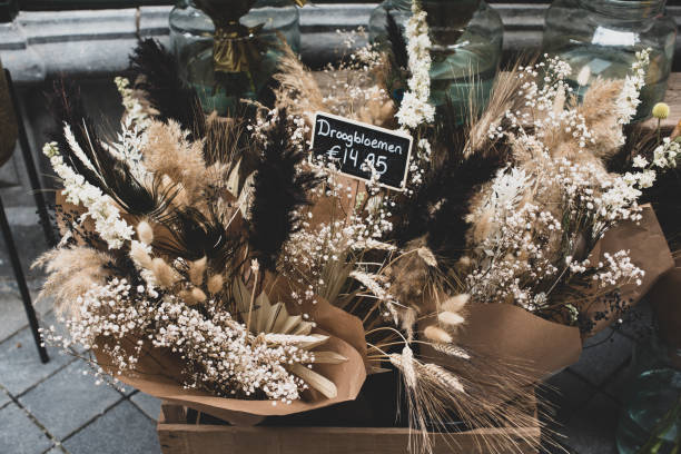 bouquet of dry grass - vase texture stockfoto's en -beelden