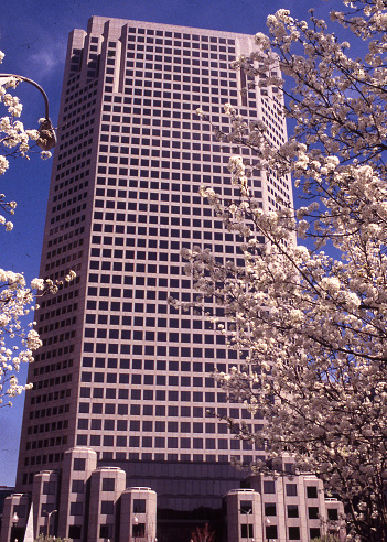 a skyscraper in spring, bordered by flowering trees