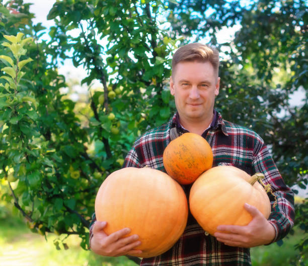 istock Portrait of a farmer with a harvest 1331106352